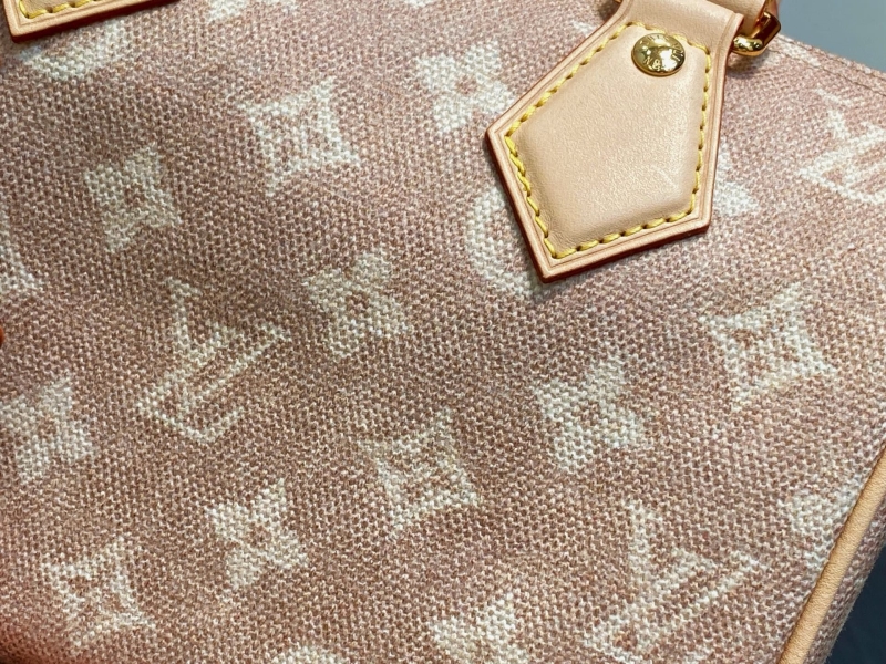 LV Speedy Bags
